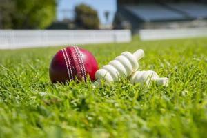 Joint Secretary and VP of disabled cricket body quit